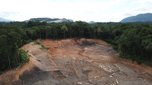Deforestation. Aerial photo destruction of Borneo rainforest  