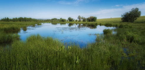 Summer landscape to Russia.
