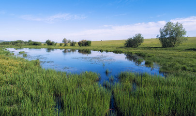 Summer landscape to Russia.