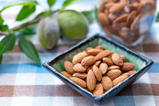 55 Best アーモンドの実 Images Stock Photos Vectors Adobe Stock