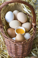 Chicken Eggs