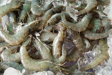 fresh prawns for sale in the fish market at Thailand. seafood on ice. fresh shrimp seafood product. prawns abstract background.