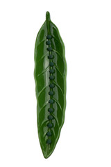  algae spirulina tablets  in ceramic green leaf isolated on white background. organic natural food supplements. Super food