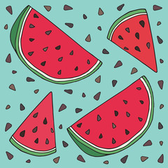 Sweet juicy Watermelon. Summer exotic food. Beautiful hand drawn illustration of fruits