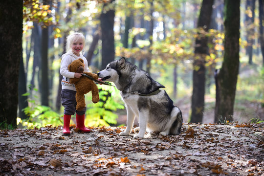 Active rest and child activity on fresh air outdoor. Active girl play with dog in autumn forest
