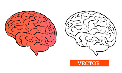 Brain, mind or intelligence line art icon for apps and websites, vector illustration