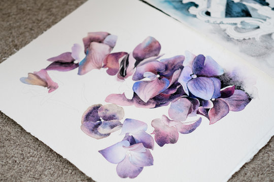 art hobby creativity. floral design. drawing of a purple flowers and petals. watercolor picture