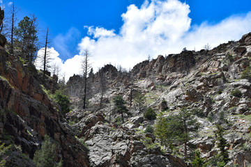 Mountain Landscape Colorado