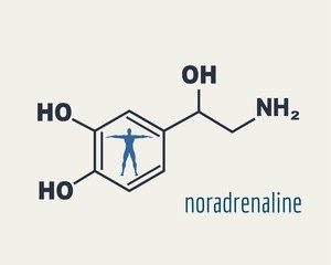 Chemical molecular formula hormone noradrenaline. Infographics illustration. Man silhouette