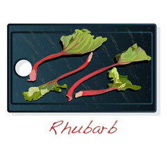 Fresh rhubarb. Rhubarb leavs on stone dish  isolated on white. Vector.