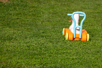 Toy truck on grass, abandoned toy