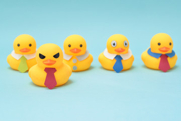 Office life concept, rubber ducks and demanding boss
