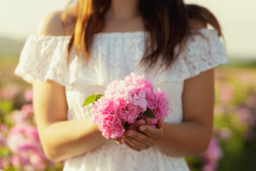 Woman holding roses closeup. Summer season.