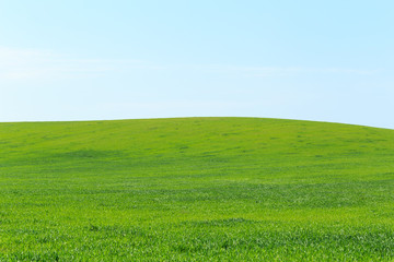 beautiful Green field