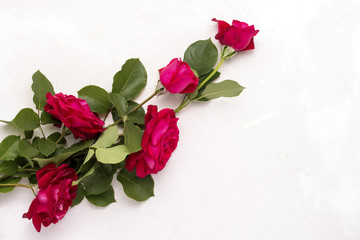 Red roses on a light stone background. Flat lay, top view