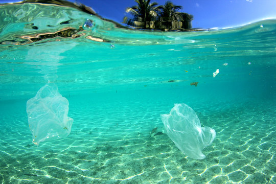 Plastic bags in ocean 