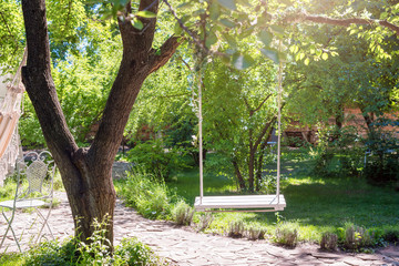 Wooden swing on ropes under the big tree in the garden.