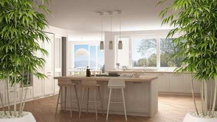 Zen interior with potted bamboo plant, natural interior design concept, modern kitchen with big windows, panorama classic white architecture