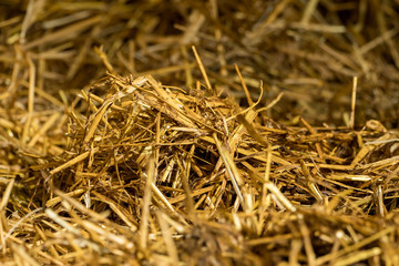 A pile of straw in the stable