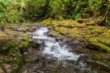 Small creek near Boquete, Panama