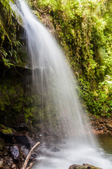 One of waterfalls in a cloud forest along the Lost Waterfalls hiking trail near Boquete, Panama