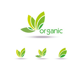 Abstract eco leaves Template logo  Design. Icon, Sign or Symbol, organic, farm, nature, ecology. Vector flat design