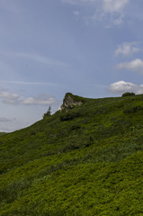 Bieszczady pasmo Tarnicy 