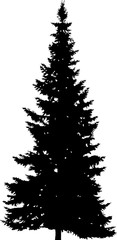 fir high straight tree black silhouette illustration