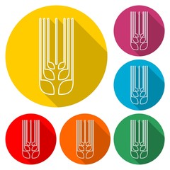 Wheat logo, Ears of Wheat icon, color icon with long shadow