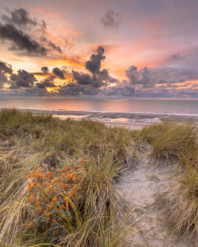 View from dune over North Sea sunset