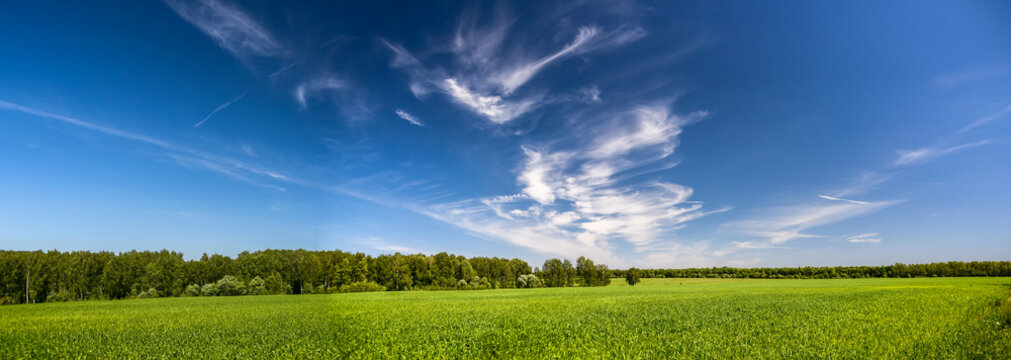 landscape with perfect sky © VladFotoMag