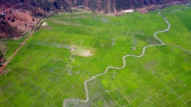 aerial view long river curves across large rice plantation