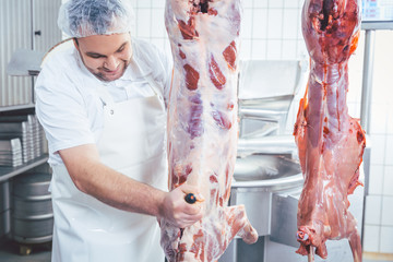 Butcher man cutting to pieces meat from carcass