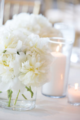 Fototapeta na wymiar white flower wedding event party elegant simple clean luxury alive aromatic smell spring bloom