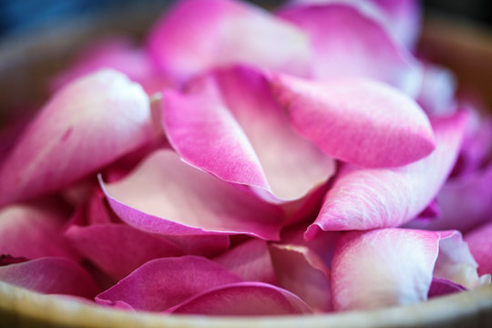 Close-up macro photo of rose petals in a wooden bowl