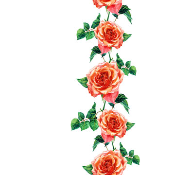 Seamless pattern of roses painted with watercolor.