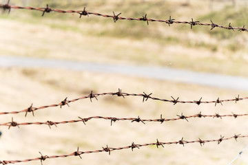 Old barbed wire fence.