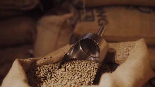 Coffee beans, view of opened bag with raw coffee beans.
