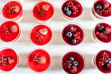 Fototapeta premium Sweet creamy dessert pannacotta with blueberries and currants