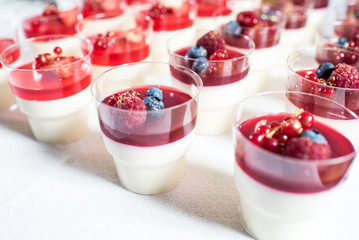 Sweet creamy dessert pannacotta with blueberries and currants