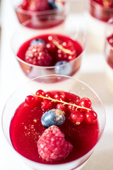 Sweet creamy dessert pannacotta with blueberries and currants