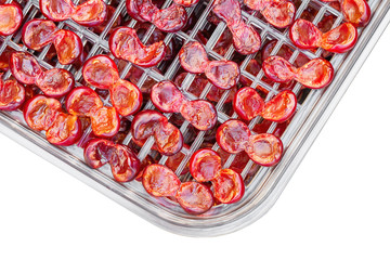 Cherry in the food dryer. Cherry halves on dehydrator tray. Closeup, isolated on white background