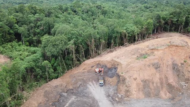 Deforestation. Aerial photo destruction of Borneo rainforest   