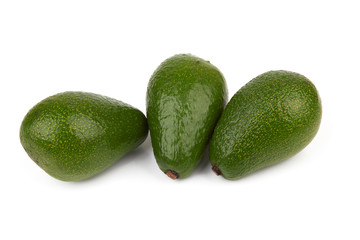 avocado on white