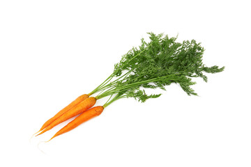 carrot with leaves