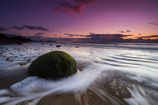 Moeraki Boulders - S&uuml;dinsel von Neuseeland