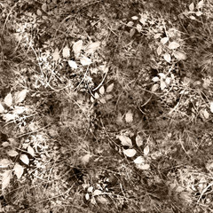 Watercolor floral seamless background, texture of autumn leaves, grasses, plants. Juniper with berries, moss,wild grass, plants. Natural wood pattern. Beautiful pattern for your design. Brown, white
