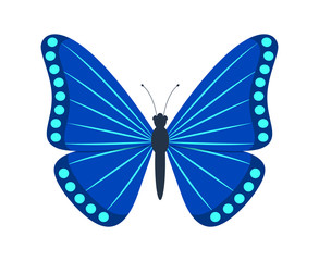 Blue butterfly isolated on white background. Vector illustration.