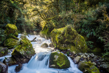 Marian Creek, Fiordland National Park - New Zealand
