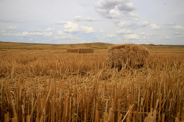 a haystack in a field in autumn